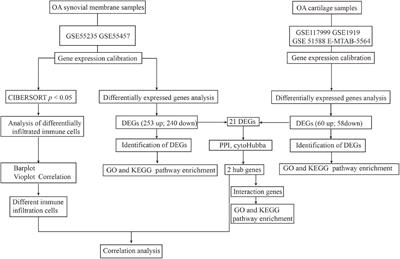 COL3A1 and MMP9 Serve as Potential Diagnostic Biomarkers of Osteoarthritis and Are Associated With Immune Cell Infiltration